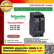 SCHNEIDER ลูกเซอร์กิต SQUARE D 2P มีขนาดแอมป์ให้เลือก ของแท้ 100% ราคารวม VAT แล้ว