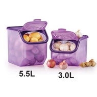 Tupperware Garlic N All Keeper 5.5L / 3.0L / 2.3L Tupperware Container