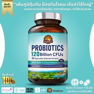 Vitalitown Probiotics 120 Billion CFUs 36 Strains with Prebiotics & Digestive Enzymes (No.740)