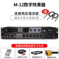 Professional Karaoke Home Use KTV Noise Reduction Feedback Suppression Balance Digital Reverb Audio