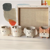 Animal Ceramic Pot Set/Succulent Cactus Ceramic Pot
