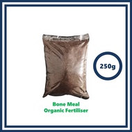 [SG 🇸🇬Store] Bone Meal (250g) - slow release organic fertilizer, rich in phosphorus