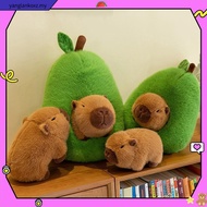 Capybara Plushie Gift 35cm/45cm/55cm - Avocado Capybara Comel | Patung Lembut Hadiah Hari Jadi Anak