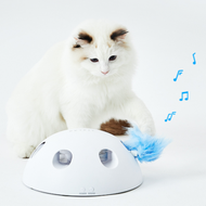 PETKIT - 智能魔力半球發聲逗貓玩具 解悶神器 感官刺激 (Q26)