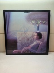 神經 - 達明一派  黑膠唱片