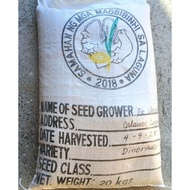 Palay/Binhi/Rice Seeds IRRI David DINORADO (20 kg)