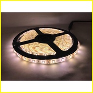 ☩ ◇ ۩ 12V SMD3528 led strip light 5 Meters for ceiling cove lighting and interior lights accent