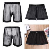 Casual Male Mens Mesh Comfy Briefs boxer Briefs See-through Boxer Briefs Panties