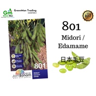Seed Midori Edamame 毛豆 F1 801- Vegetables Type (20seeds)