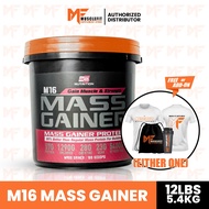 Bs Nutrition M16 Mass Gainer 12 lbs/5.4 kg + (Free Shaker/tshirt )