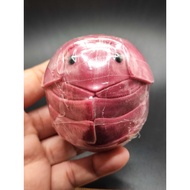 Figure Insect DUNG BEETLE Bug Dango Mushi Plastic Gashapon japan import