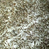 Ikan Cere Sawah Sungai Air Tawar Hidup Pakan Ikan Hias Predator