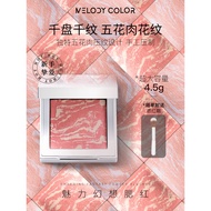 blush liquid blush Melodycolor Melodycolor Pork Blush Charm Fantasy Influencer Blush Matte Blush Blu