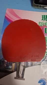 Butterfly Tenergy 05 乒乓球膠皮