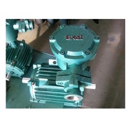 Faster delivery IEC Standard Weg Electric Motor 3- Phase Explosion Proof Motor 50Hz/ 60 Hz Frequency