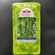 Benih Timun Panah Merah Thailand 50gm 1600 Seeds Ready Stock