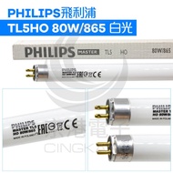 Jinggang Electronics PHILIPS TL5HO 80W/865 White Light