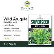 Wild Arugula (Wild Rocket) Herb Seeds, 850 Seeds