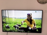 LG UP7800 50吋 4K 電視 50UP7800PCB AI ThinQ UHD 4K 智能電視 smart TV