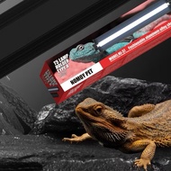 NomoyPet หลอดไฟT5 รางไฟ 21w สำหรับเต่าบก พร้อมหลอดยาว UVB 10.0 พร้อมอุปกรณ์ติดตั้ง เสียบกับตัวแปลงไฟ