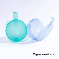 Tupperware Forget Me Nots Set of 2 pcs