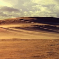 Desert Gobi photography background cloth studio model indoor posing selfie photo trend