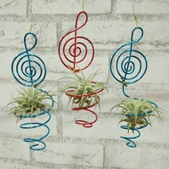 Air Plant Holder - Aluminium wire