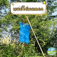 Red Ant Egg Teaser Swing Fruit Picker Net