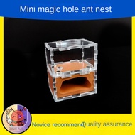 Ready Stock mini Magic Cave Ant Nest New Queen Small Group Nest Origin Ant Castle Ant Nest Printing 