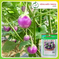 Phu Nong High Yield Purple Eggplant Seeds - 0.5g Package - Strong Growth, Good Disease Resistance, F
