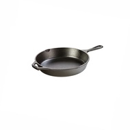 Lodge Cast Iron 10.25 Inch Skillet - L8SK3