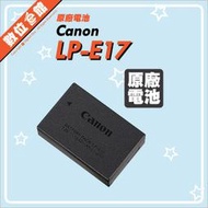 ✅有雷射防偽標籤有發票 數位e館 Canon 原廠配件 LP-E17 原廠電池 原廠鋰電池 原電 完整盒裝