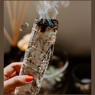 Xô thơm trắng THANH TẨY- White Sage Xô thơm xông nhà