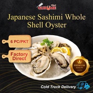 Japan Sashimi Grade Whole Shell Oyster Oysters