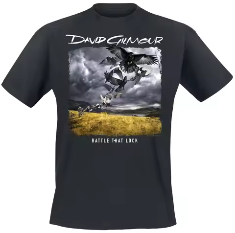 David Gilmour Rattle That Lock Birds Print T Shirt, 100% Cotton Unisex, Rock Streetwear, Fan Graphic