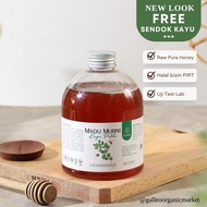 Galleo Pure Eucalyptus Honey 650 GR Premium Raw HONEY [Free Wooden Spoon]