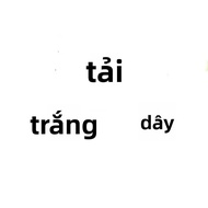 Áo Sơ Mi Dài Tay Phong Cách Cổ Điển Sang Trọng Lịch Sự Vintage Hong Kong Style Áo Khoác Ngoài Kẻ Car