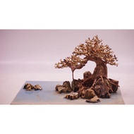 Mini Rockery, Bonsai Driftwood, Aquatic Driftwood For Aquarium Decoration, Aquarium, Office, Home- Green House