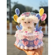 Dog Cake Velvet Wire