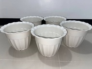 5 pieces BIG paso 9x7"- 5 white pots for plants for PHP150 - round pots / indoor &amp; outdoor 30 pesos