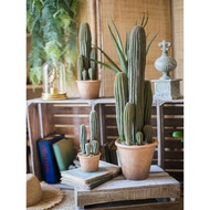 Juhan Simulation Cactus Potted Plant Blue Eros Wooden Cactus Pillar Cactus Simulation Green Plant Bo