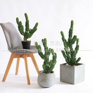 Green Plant Eight-Lobe Landscaping Floor Decoration Indoor Cactus Tropical Large Model Fake Plant Ca