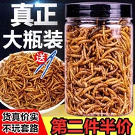 Hamster Food Hedgehog Food Honey Glider Feed Bear Snacks Bird Food Snacks Noodle Fish Feed Arowana F