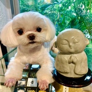 麗香爐 地藏【日本松榮堂 香爐系列】