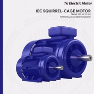 TRI ( IE2 ) 1.5hp ( 1.1kw ) x 4pole ( rpm14000 ) x 3phase Aluminium Foot Mounted B3 IP55 415v/50hz T