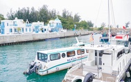 Tour Riêng Nửa Ngày Bảo Tàng 3D Đà Nẵng & Son Tra Marina