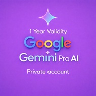 Google Gemini Pro AI private 1 year