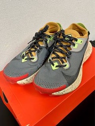 NIKE PEGASUS TRAIL 2 GTX GORE-TEX