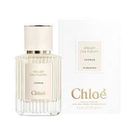 Ready Stock Chloe Chloe Wonderland Garden Northland Cedar EDP 50/150ml