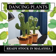 Dancing and Talking Cactus Plant